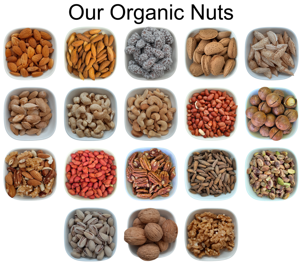 Hulled Pumpkin Seeds – Natural Organic Premium-quality + Free sample!