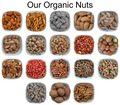 Walnuts Kernel – Natural Organic Premium-quality + Free sample!